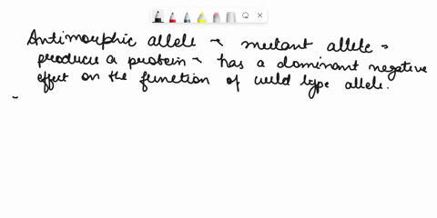 dd-is-not-correct-answerplease-give-correct-answer-and-explain-a-mutant-allele-results-in-a-truncated-form-of-a-signaling-protein-this-protein-can-still-bind-its-receptor-protein-but-does-no-72811