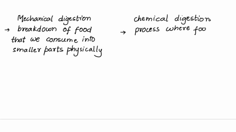 what-is-the-difference-between-mechanical-digestion-and-chemical-digestion-give-an-example-of-each-16365