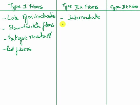 types-of-muscle-fibers-place-the-following-descriptions-with-the-appropriate-skeletal-muscle-fiber-typelabels-can-be-used-more-than-once-intermediate-fibers-fast-twitch-fibers-fatigue-resist-62246