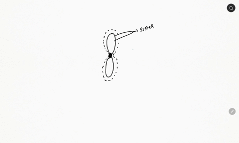 which-best-describes-a-centromere-a-sister-chromosomes-that-are-held-together-by-a-chromatid-b-paired-chromosomes-that-have-genes-arranged-in-the-same-order-c-the-part-of-a-chromosome-that-j-97012