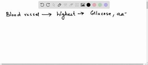 which-blood-vessel-consists-of-highest-concentration-of-glucoseamino-acids-after-2-hours-of-a-meal-76445