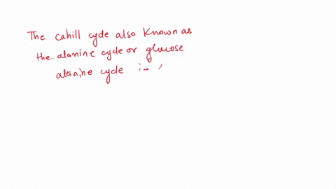 write-a-balanced-equation-for-the-synthesis-of-alanine-from-glucose-52503