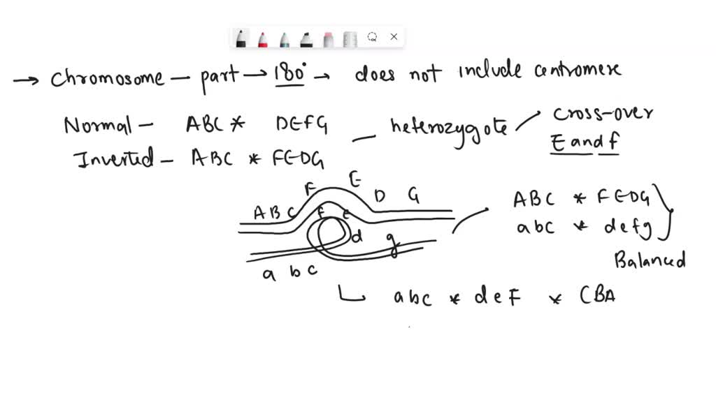 Paracentric Inversion Practice Questions SOLVED: 3. Paracentric inversion: Given the inversion and normal ...