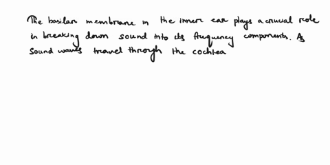 explain-how-sound-is-broken-down-into-frequency-components-by-the-basilar-membrane-80363
