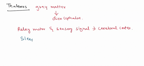 please-only-the-answer-dont-explain-1what-is-the-principal-function-of-the-thalamus-group-of-answer-choices-a-it-controls-voluntary-movement-b-it-modifies-all-motor-movement-c-it-is-the-crit-90811