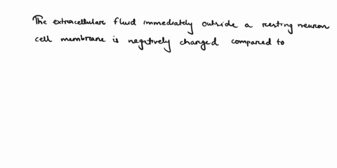 the-extracellular-filuid-immediately-outside-a-resting-neurons-cell-relative-t0-the-inside-of-a-neuron_-membrane-is-select-one-negative-and-the-sodium-ion-concentration-is-less-b-positive-an-75564