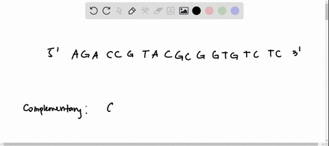 below-is-a-template-strand-of-parental-dna-and-partial-complementary-strand-dna-parental-strand-5-a-g-a-c-c-g-t-a-c-g-c-g-g-t-g-t-c-t-c-3-dna-complementary-strand-g-c-g-c-based-on-the-direct-32129