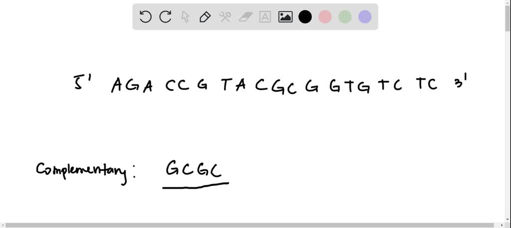 SOLVED: Consider how DNA polymerase catalyzes the addition of ...