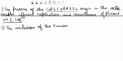 to-express-our-protein-of-interest-in-e_-coli-it-was-decided-to-use-the-following-expression-vector-terminator-f1-origin-his-tag-mcs-iac-operator-promoter-kan-sequence-spet-c-his-5116-bp-col-63414