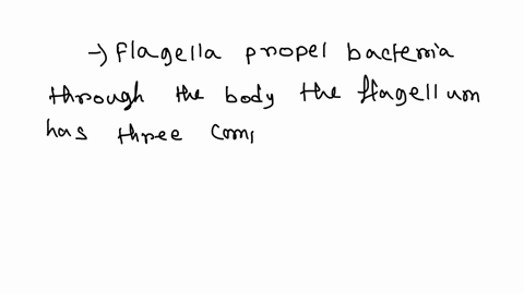 how-do-various-types-of-bacteria-move-a-by-the-use-of-flagella-composed-of-a-filament-hook-and-mot-2-67837