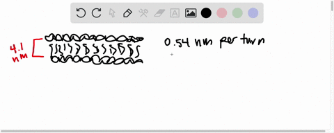 bacteriorhodopsin-is-an-integral-membrane-protein-containing-248-amino-acids-x-ray-analysis-of-this-protein-reveals-that-it-consists-of-seven-parallel-a-helical-segments-each-of-which-traver-71907