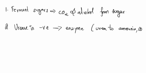 which-yeast-does-the-following-candida-or-cryptococcus-a-ferments-sugars-b-urease-is-negative-c-laccase-is-negative-d-lacks-a-capsule-e-resistant-to-cycloheximide-f-has-both-a-yeast-and-pseu-55445