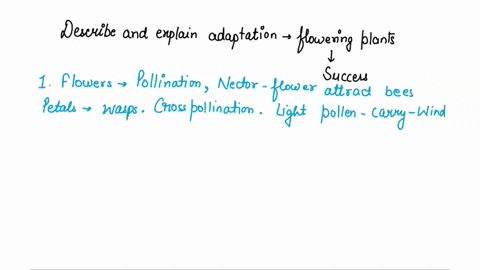describe-and-explain-three-adaptations-of-flowering-plants-that-have-contributed-to-their-success-18695