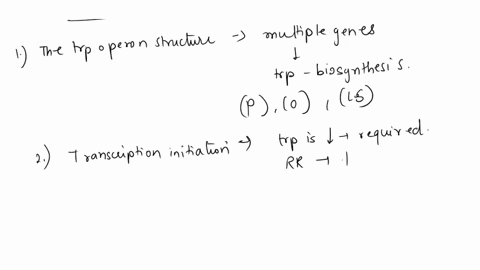 need-help-understanding-attenuation-and-how-it-works-in-the-trp-operon-can-someone-explain-the-mechanism-and-how-it-works-06718