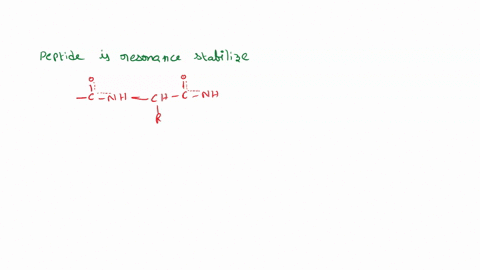 the-peptide-bond-is-resonance-stabilized-what-is-are-the-direct-effects-of-this-on-protein-structure-include-all-that-apply-multi-select-explain-a-the-r-groups-of-neighbouring-amino-acid-res-03714