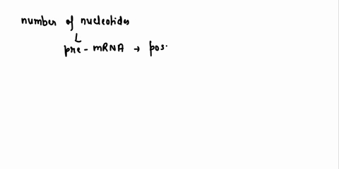 question-24-olur-the-figure-shows-zenera-gcnema-cf-genomic-rezicn-uonc-lnart7-cooire-protein-stnced-dox-showstne-tomoter-transcription-starts-it-tne-lire-marked1007-puzton-nj-01-nlor-duo-a-v-20893