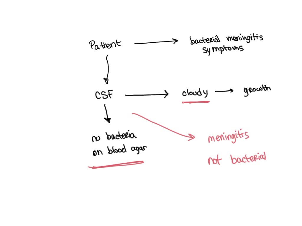 solved-a-patient-presents-with-symptoms-of-bacterial-meningitis-a