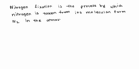 what-is-nitrogen-fixation-give-some-examples-of-nitrogen-fixation-81822