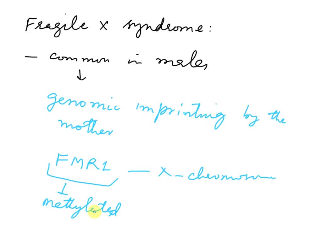 Fragile X Syndrome Is More Common In Males Than In Females One Explanation For This Is Genomic 8607