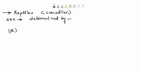 in-some-reptikes-such-a5-crocodiles-the-sex-ot-the-animal-determined-by-nonc-0f-the-above-incubation-tcmpcrature-all-0t-the-above-thc-chromnotomes-74165