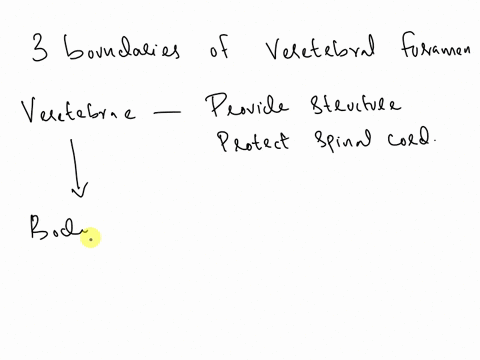 pransverse-ioramen-eiamond-shaped-body-dateral-facing-superior-articular-acets-ooblique-acing-superior-arlicular-acets-qlc-select-three-boundaries-of-the-vertebral-foramen-only-choose-he-thr-78623
