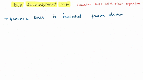 explain-the-process-of-creating-recombinant-dna-27037