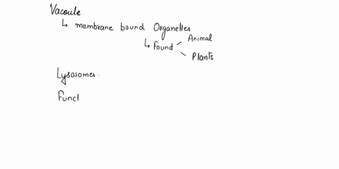 state-the-functions-of-a-vacuole-within-a-cell-41721