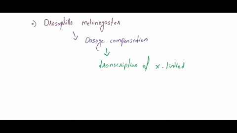 in-drosophila-dosage-compensation-is-established-by-increasing-transcription-of-x-linked-genes-in-males-what-type-of-epigenetic-regulation-would-you-examine-between-males-and-females-in-dros-17907