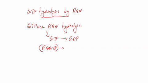 gtp-hydrolysis-by-ran-occurs-in-the-cytosol-based-on-this-statement-which-of-the-following-below-is-true-a-ran-gef-guanine-nucleotide-exchange-factor-is-only-found-in-the-nucleus-from-where-42771