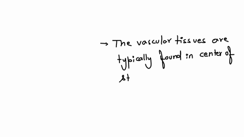 modified-true-or-false-a-between-the-palisade-layer-and-spongy-layer-are-vascular-tissues-b-the-bundle-sheath-consists-of-collenchyma-cells-to-support-the-integrity-of-the-vascular-bundles-both-false