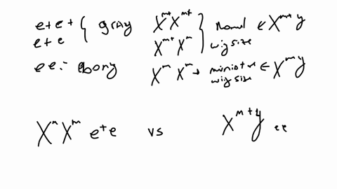 in-drosophila-there-is-an-autosomal-gene-that-determines-body-color-ebony-body-e-is-recessive-to-the-wild-type-gray-body-e-a-second-gene-which-is-x-linked-controls-wing-size-normal-wing-size-65822