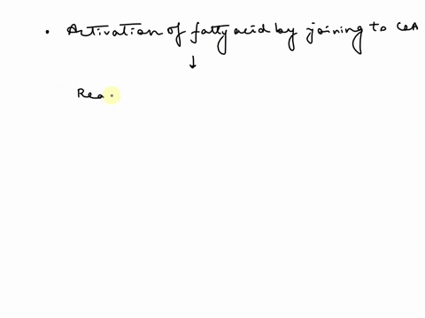 put-the-following-steps-of-lipid-degradation-in-order-1-reaction-of-fatty-acyl-coa-with-carnitine-2-activation-of-fatty-acid-by-joining-to-coa-3-hydrolysis-of-triacylglycerol-into-glycerol-a-20722