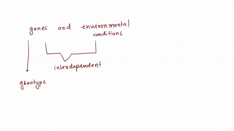 the-characteristics-of-an-organism-are-determined-by-two-factors-94634