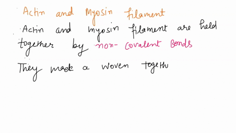 if-both-the-actin-and-myosin-filaments-of-muscle-are-made-up-of-subunits-held-together-by-weak-nonco-97806