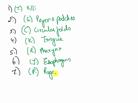 please-match-each-description-with-the-correct-structure-fingerike-extensions-of-the-intestinal-mucosa-that-increase-astomach-the-surface-area-for-absorption-banus-large-collections-of-lymph-30059