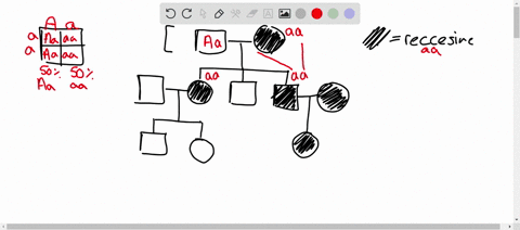 using-the-following-pedigree-of-a-rare-autosomal-recessive-trait-spartacus-syndrome-what-is-the-probability-of-individual-iv-2-being-affected-what-is-the-probability-of-individual-iv-2-being-55961