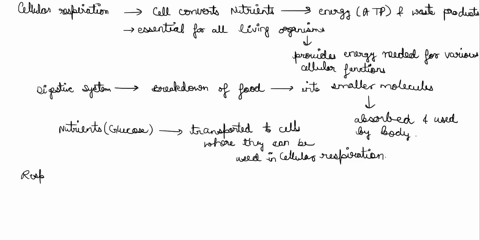 biology-20-units-cellular-respiration-and-d-human-systems-summary-project-purpose-students-will-appreciate-the-relationship-that-exists-between-cellular-respiration-and-the-digestive-respira-32608