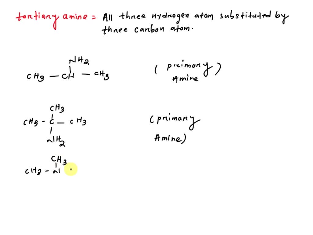 SOLVED: Which of the amines shown, when placed in water, will most ...