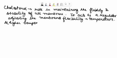 question-24-not-yet-ansuered-marked-out-of-l00-flag-question-the-main-function-of-cholesterol-is-to_-select-one-a-regulate-the-health-of-the-cell-b-regulate-general-fluidity-of-the-membrane-92334