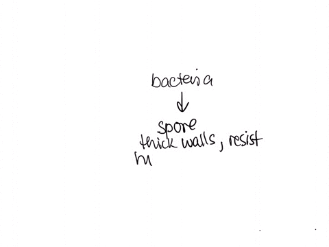 this-bacterial-structure-render-bacteria-resistant-to-cold-heat-and-desiccation