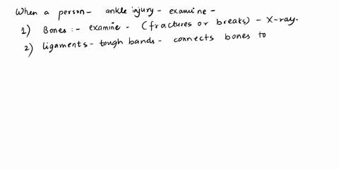 analyze-the-following-scenario-a-person-enters-the-emergency-room-with-an-ankle-injury-what-structur-58148