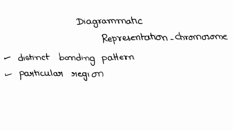 diagrammatic-representation-of-chromosome-is-a-karyotype-b-idiogram-c-chromosome-map-d-phenogram-47928