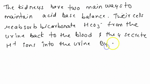 how-the-renal-system-regulates-acid-base-balance-of-our-body-07673