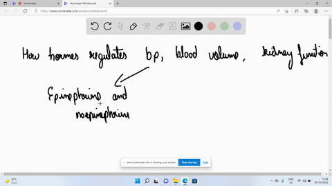 describe-how-hormones-regulate-blood-pressure-blood-volume-and-kidney-function-34566