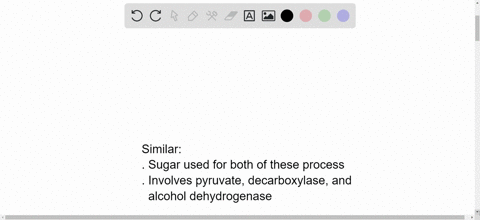 compare-and-contrast-ethanol-fermentation-with-lactate-fermentation