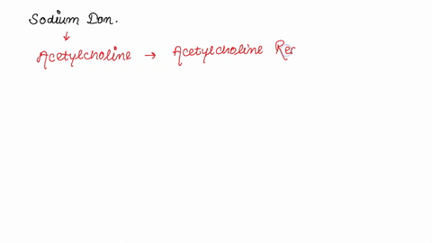 the-neurotransmitter-acetylcholine-released-by-a-neuron-at-a-neuromuscular-junction-binds-to-nicotinic-acetylcholine-receptors-on-the-cell-membrane-of-the-skeletal-muscle-cell-these-receptor-85324