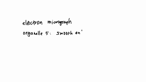 organelle-5-2-marks
