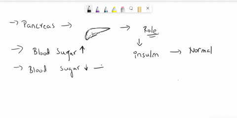 which-of-the-following-secreted-from-the-pancreas-when-blood-glucose-levels-are-low-insulin-glucagon-cpinephrinc-glucosc-74301
