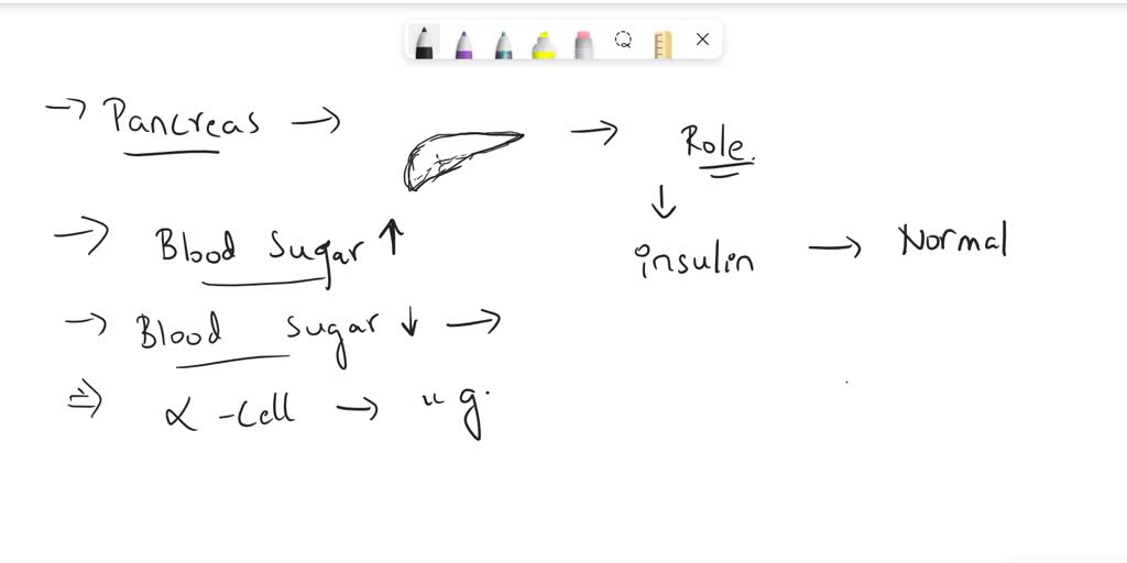 SOLVED Which of the following is secreted from the pancreas when blood