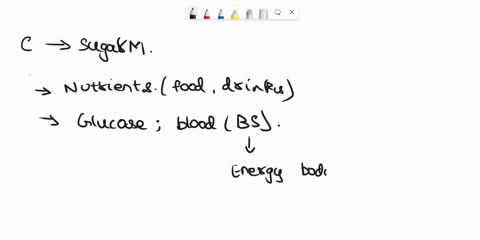 why-do-you-think-that-carbohydrates-are-not-digested-in-the-stomach-68128